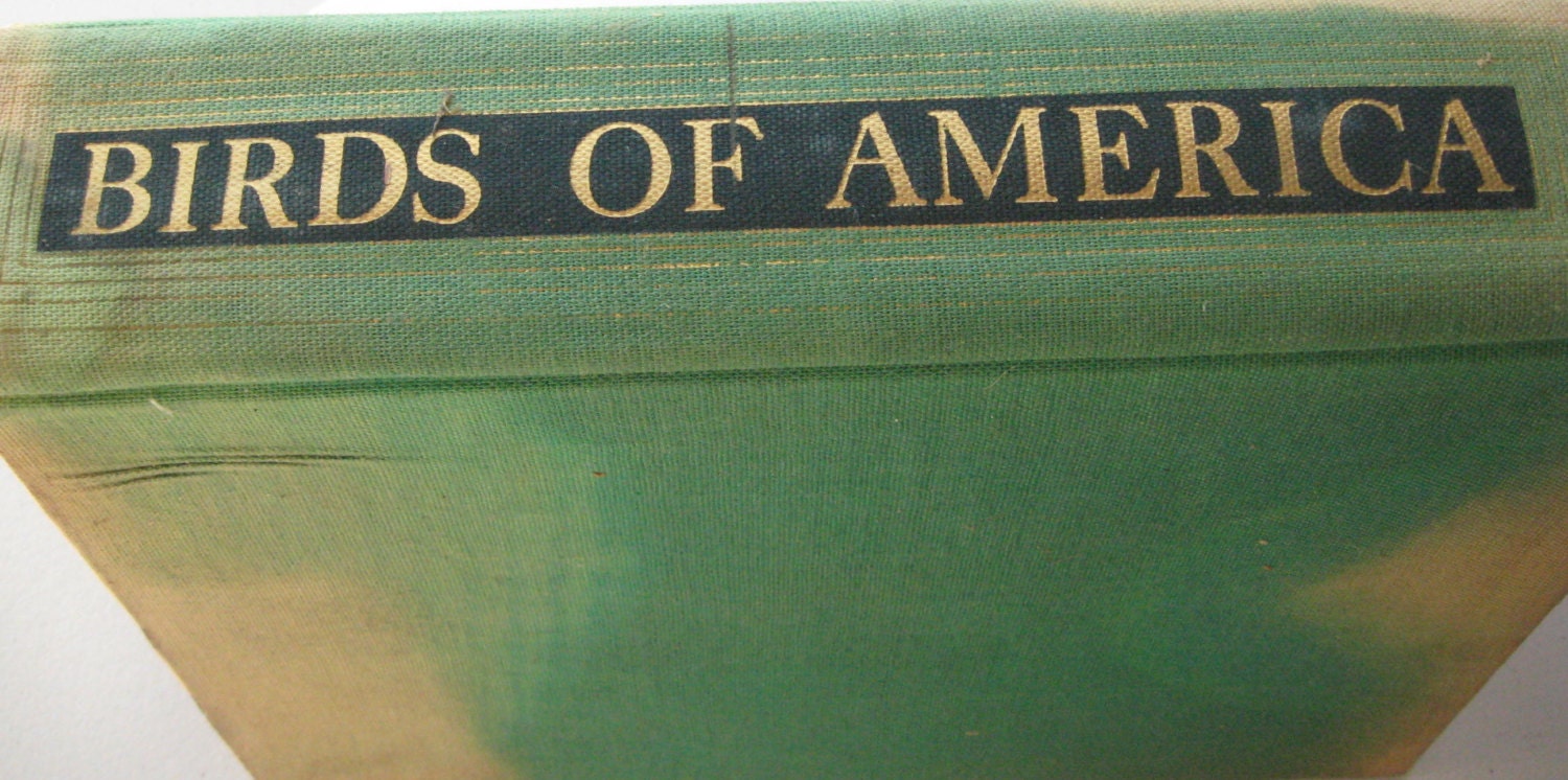 Birds of America, editor-in-chief T. Gilbert Pearson T. Gilbert Pearson, John Burroughs, Edward H. Forbush and William L. Finley