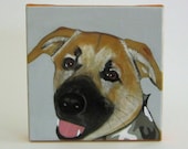 Custom Dog Painting Pet Portrait 8x8 Original Art Personalized Puppy Modern Canvas gray black red tile studio