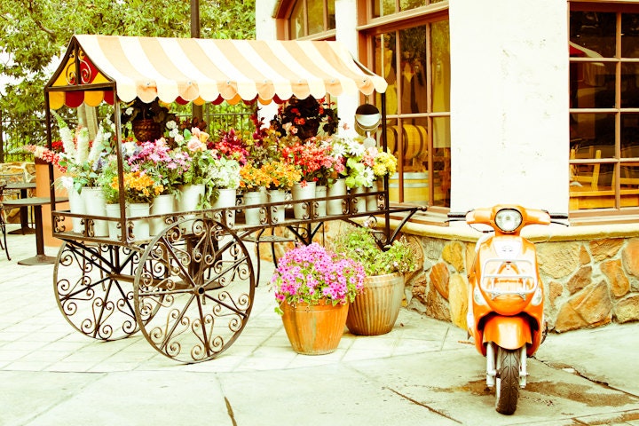 Travel, Floral, Flowers, Paris, Europe, Wall Art, Home Decor Fine Art Photography Print Parisian Set up 8x10