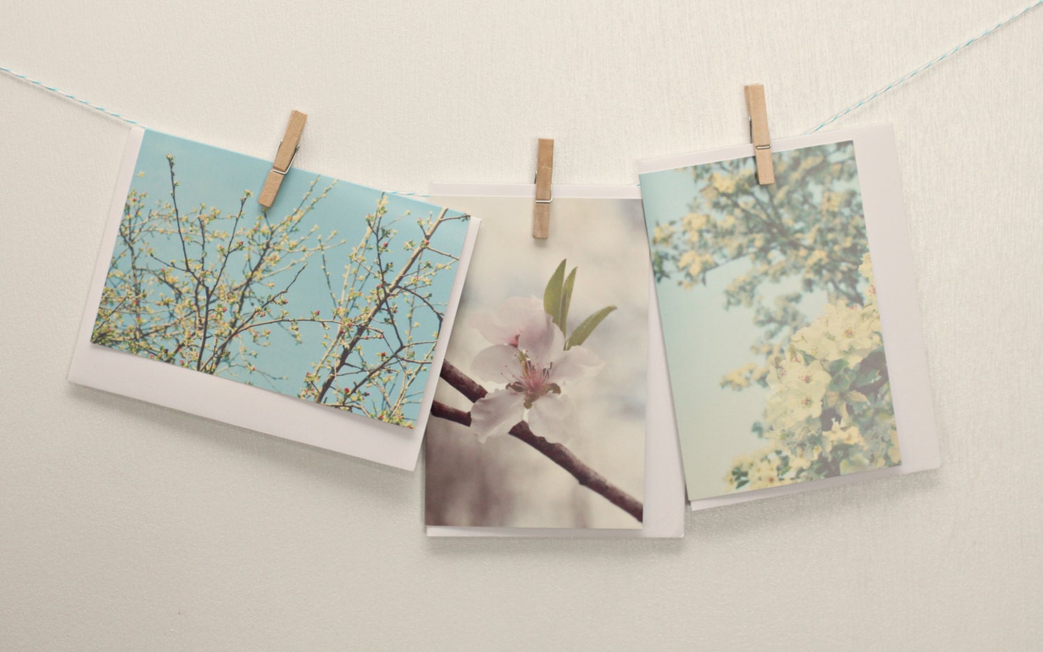 Spring Blossoms Greeting Cards, Set of 3