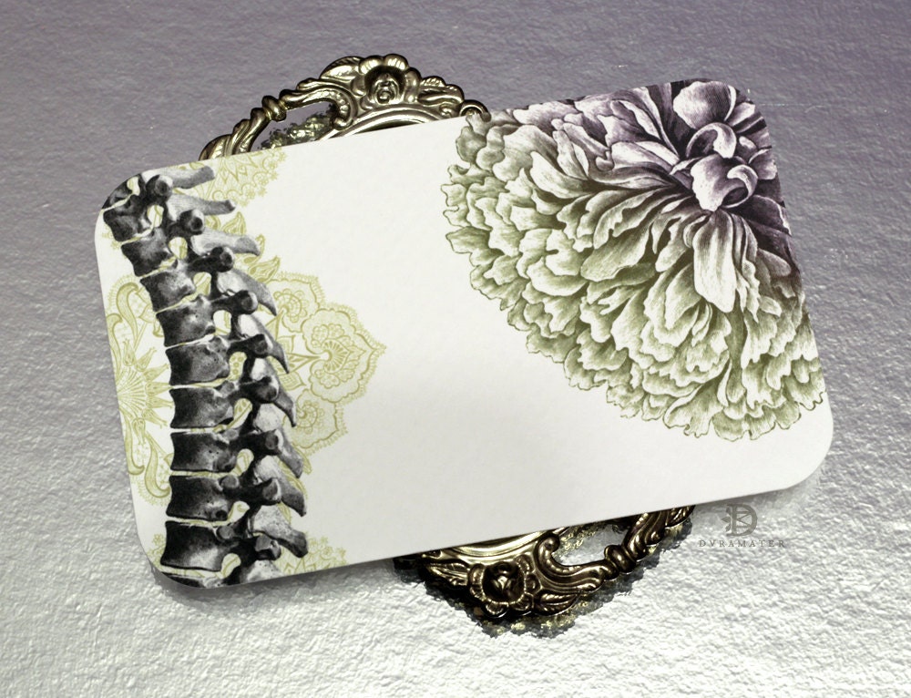 The Botanical Ossuary II (6 flat cards and envelopes)