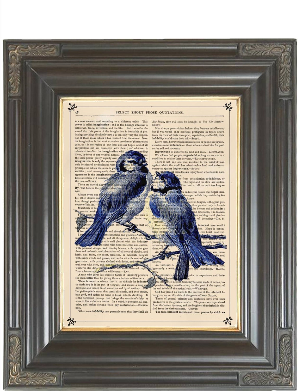 BOGO Sale Vintage Blue birds  pair Dictionary page art print printed on old antique dictionary book page. Item No. 376