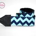 SLR Camera Strap- Aqua & Navy Chevron