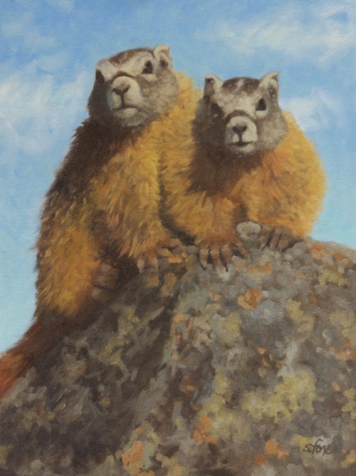 Young Marmot oil painting
