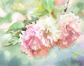 Spring FLOWERS in Pastel - branch with pink blossoms - Country Chic - soft pink blue green watercolor-like-  matted to 8x10