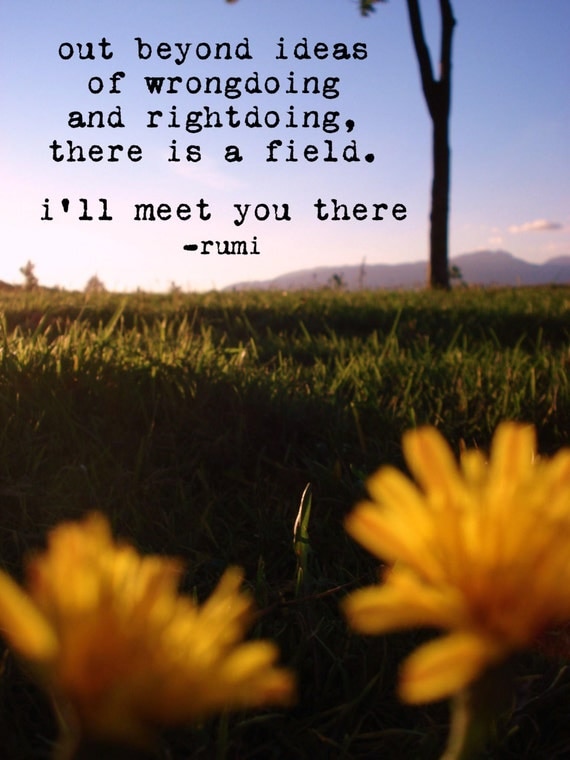 Meet Me In The Field Rumi Quotes. QuotesGram