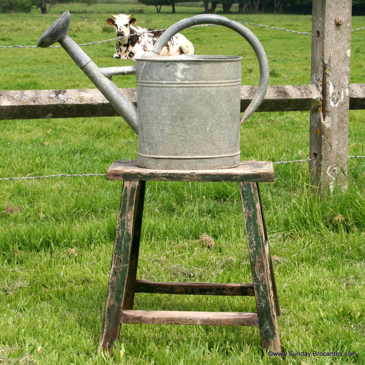 Vintage Zinc Watering Can from France