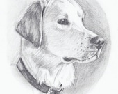 Sketch From Your Photo - Custom Portrait - Pet or Person