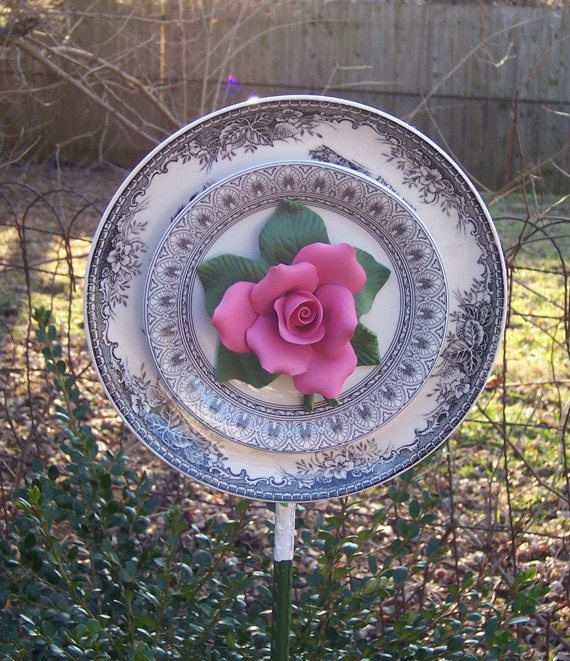 Pink Rose, Gray and White Garden Flower