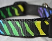 Neon Zebra 1" Adjustable Dog Collar - Also available as a Martingale