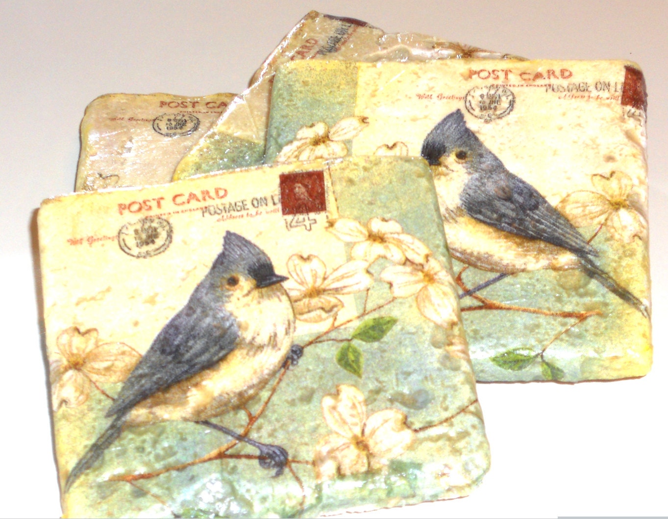 Bird Coasters