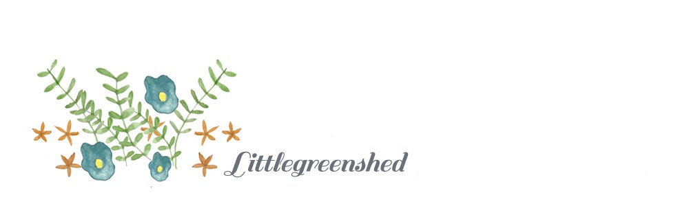 Illustrated Custom Blog Header / Banner