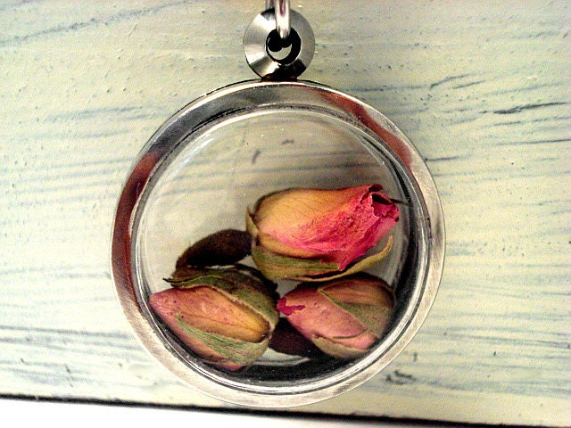 Window Locket Necklace with real dried rose buds. Long silver colored chain. Spring Jewelry for her.