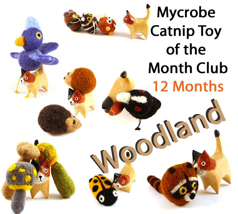 Mycrobe Cat Toy of the Month - Woodland Theme - 12 Months
