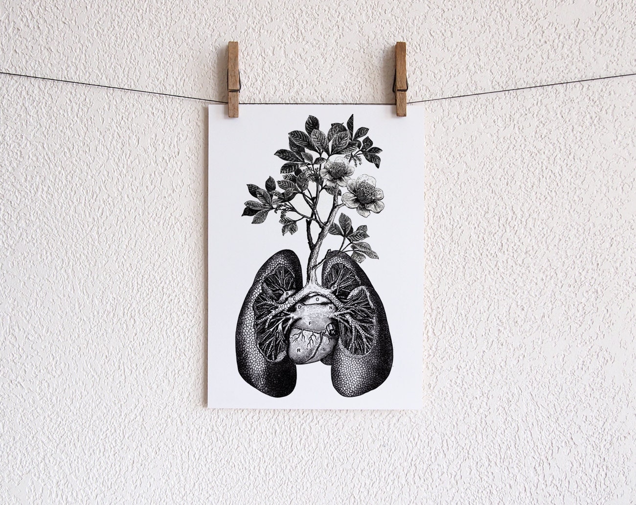 LUNGS and BRANCHES art print- anatomical lungs diagram with branches and flowers growing - original illustration collage - engravings