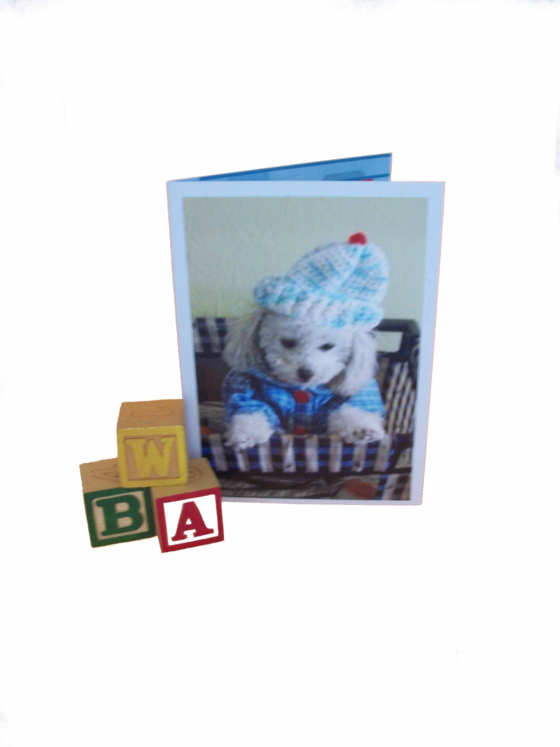 Poodle Get Well Card, Dog Feel Better Card, Miniature Toy Poodle Card