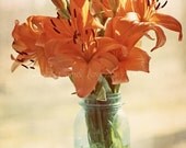Orange Lilies 8x12 Fine Art Photography Farm Country Shabby Chic Aqua Blue Mason Jar Rustic Vintage Still Life Home Decor Wall Art