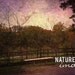 Dreamy Sunset Photo, Mount Vernon Photo, Autumn Surrender, Landscape Photography, 8X12 Print, Home Decor, Wall Art, purple