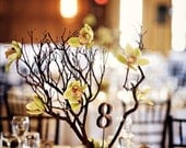 Rustic Wooden Table Numbers For Wedding and Reception Decor. Numbers 1-10
