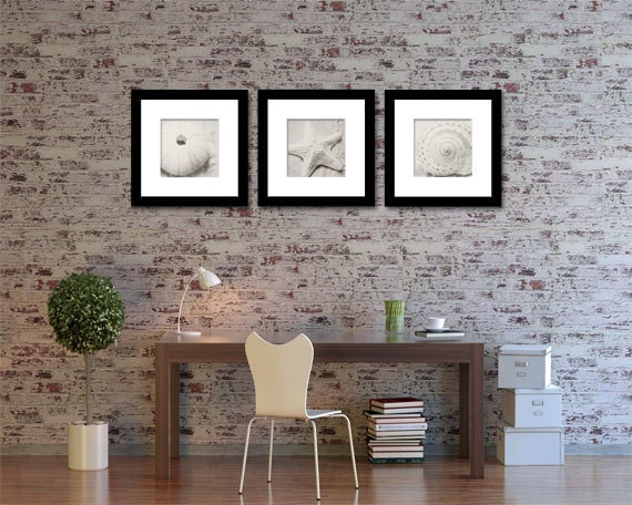 Shell Photography - Set of Three (3) Beach Decor - Black & White - 10x10 Photography - Neutral - Starfish Shells Black White Home Decor
