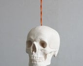 Skull Pendant Light