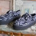 Zebra Creepers