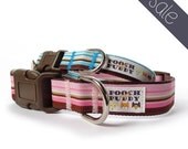 Marina Stripe Dog Collar - striped dog collar, blue dog collar, pink dog collar, small dog collar, large dog collar