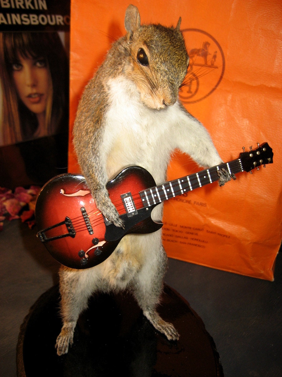 Taxidermy Guitar Playing Squirrel total shredder "custom made to order"