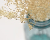 Blue Mason Jar Vase, Vintage Decor, Blue and Beige, Cottage Chic, Dried Baby's Breath Photo, Color 10x8" Fine Art Wall Print