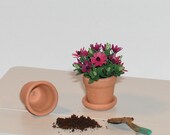 Dollhouse  Flowers - Pink Cape Daisy in terracotta flower pot - 1:12 scale Miniature (GF56)
