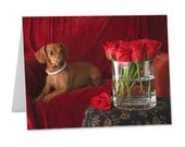 Dachshund Printable Greeting Card Digital Download, Fine Art Photograph