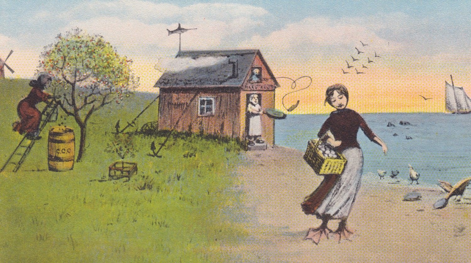 Imaginary CAPE COD - FANTASY, Goose Foot Girl,  Birds, Vintage Illustration Postcard, a. m. Nichols, c. 1910s - 1920s, Dickerman & Son