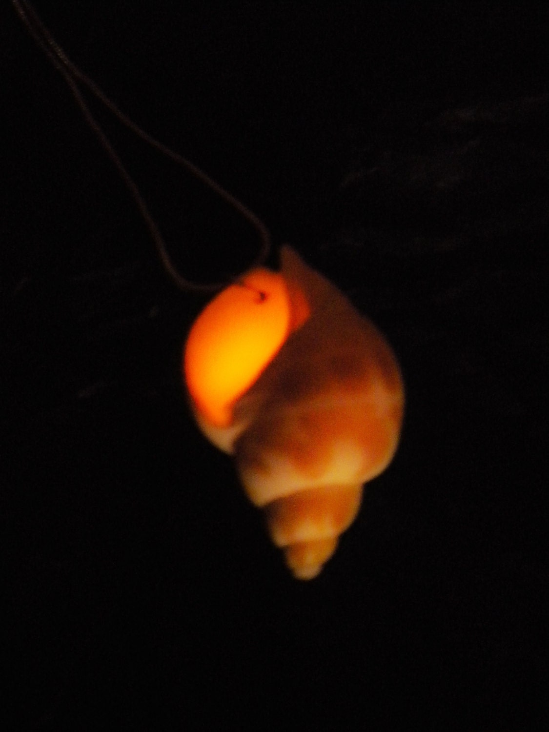 The Little Mermaid Necklace - Ariel's Voice - Ursula's Necklace - Glow in the Dark Mermaid Necklace - Mermaid Jewelry - Glowing Shell