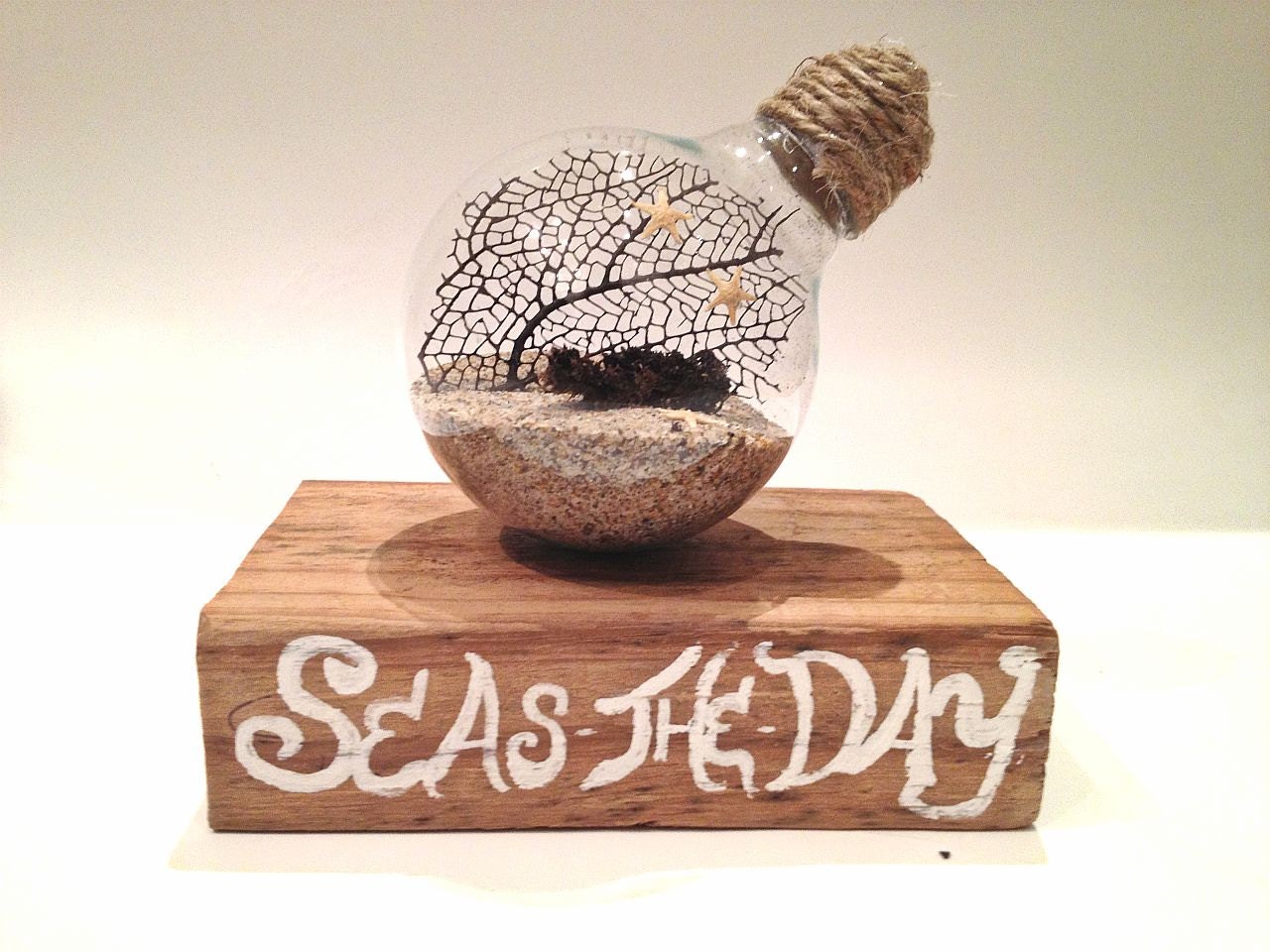 Beach terrarium-Under the sea "terrarium" Sea fan  in lightbulb on piece of driftwood - lightbulb desk decor -summer gift Seas the day