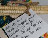 Black Beauty - Hand Wrapped Set of Six Pencils