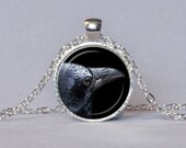 RAVEN PENDANT Black Raven Necklace Bird Jewelry Bird Lover Gift Black Gray Silver Blue Crow Necklace Chain Included