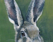 Painting of a Hare