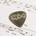 Personalised 925 Sterling Silver Plectrum - Engraved with Your Voice as a Sound Wave. For Music Loving Dad on Father's Day