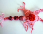 Pretty in Pink Multipolar Neuron