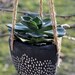 Hanging Succulent Planter