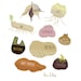 Bulbs Print - 8.5" x 11" - Gardening Print