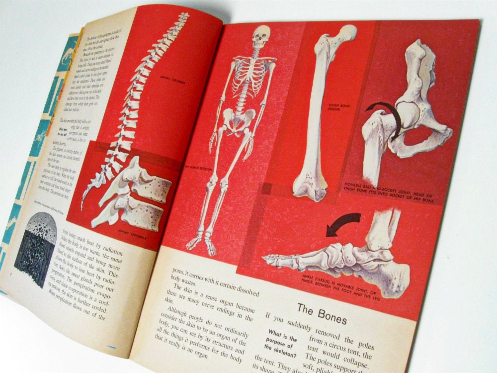 vintage mid century human body science book - collage - paper craft - mixed media - scrapbook - art journaling