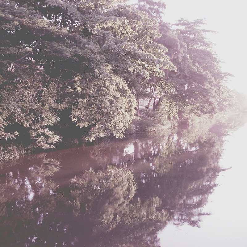 Nature Photography, Tree Photo, Morning Fog, Purple Silver Photograph, Trees Picture, Wall Decor, Reflection on River - A Sort of Projection