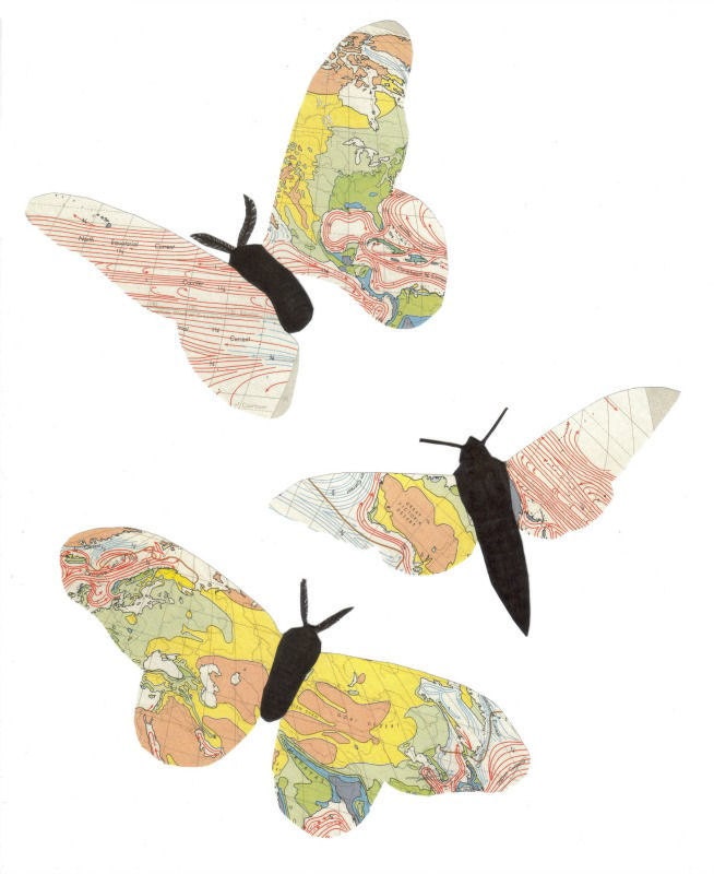 Butterfly Art Original Mixed Media Collage Art Paper Butterflies Butterfly Wall Art