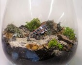 Breaking Bad Terrarium TV Miniature: The Heisenberg
