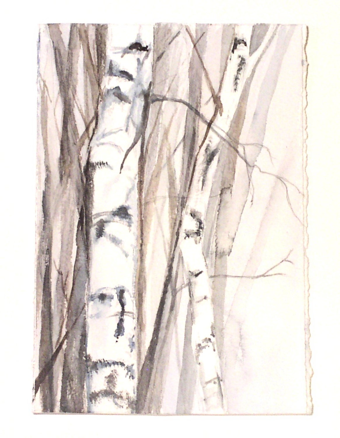 Woodland Trees Watercolor Painting Original Artwork Birch Botanical Garden by Laurie Rohner