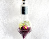Natural Jewelry, Terrarium Necklace, Purple Flower Pendant, Glass Pendant Necklace, Jewelry Necklaces Handmade