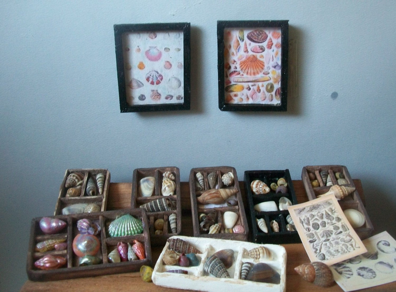 Vintage Framed SeaShell Prints Set, 2 Miniature Dollhouse 1:12 Scale Wood Frames, Black Laquer Finish with Panes, 1 3/8th x 1.5 inches