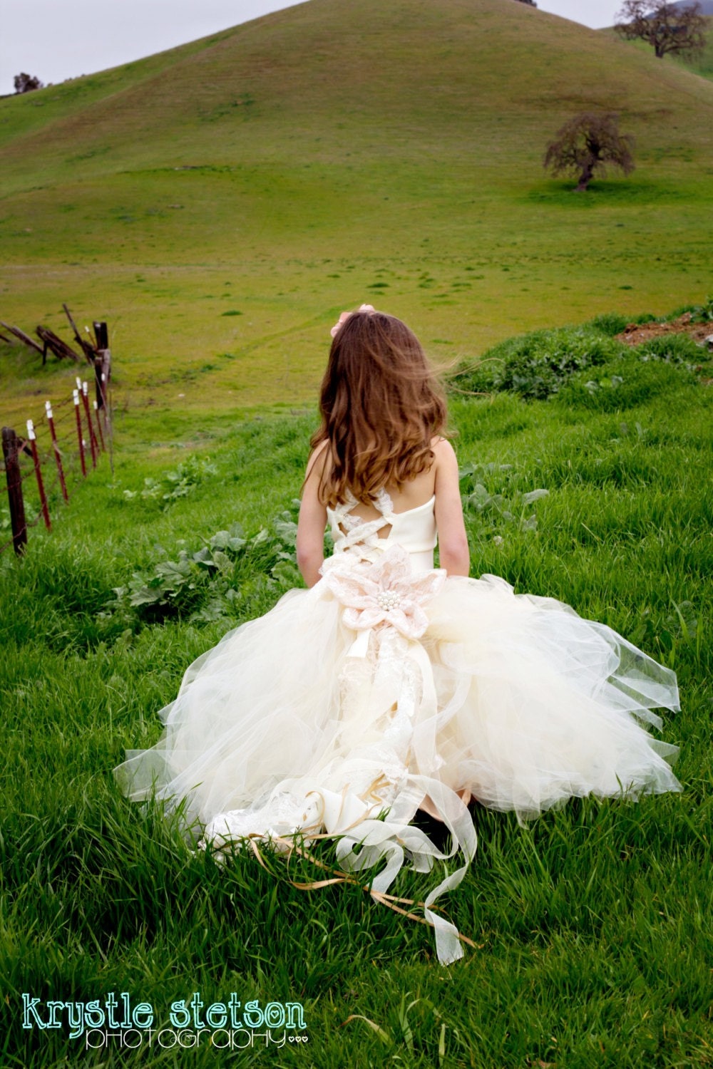 Lace Back Flower Girl Dress w Detachable BellaBlossom Train--Lined and Sewn Tulle Skirt--Weddings--Portraits