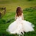 Lace Back Flower Girl Dress w Detachable BellaBlossom Train--Lined and Sewn Tulle Skirt--Weddings--Portraits